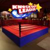 Knockout League